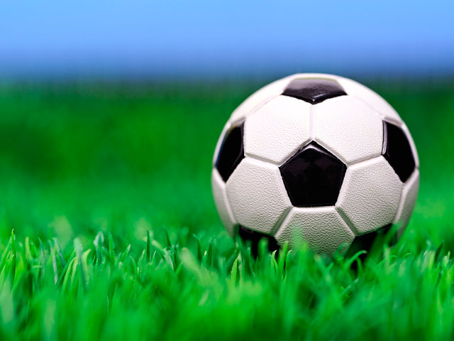 На логотипе Крымского футбольного союза (КФС) будет размещено изображение грифона и футбольного мяча, сообщил президент организации Юрий Ветоха