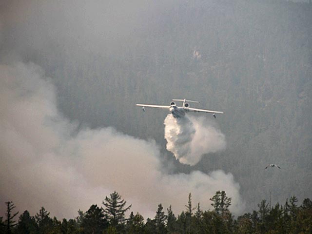 Прокуратура Иркутской области выявила факты неэффективного тушения лесных пожаров на территории Прибайкальского национального парка на побережье озера Байкал