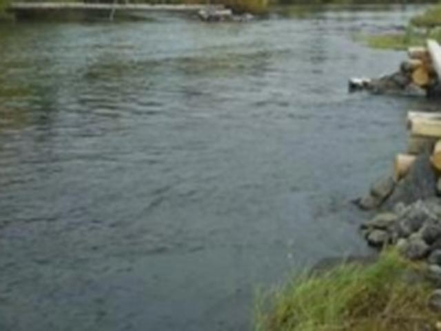 Труп служительницы Фемиды был найден 8 августа 2015 года на берегу озера, расположенного в микрорайоне Новая Деревня в городе Подпорожье