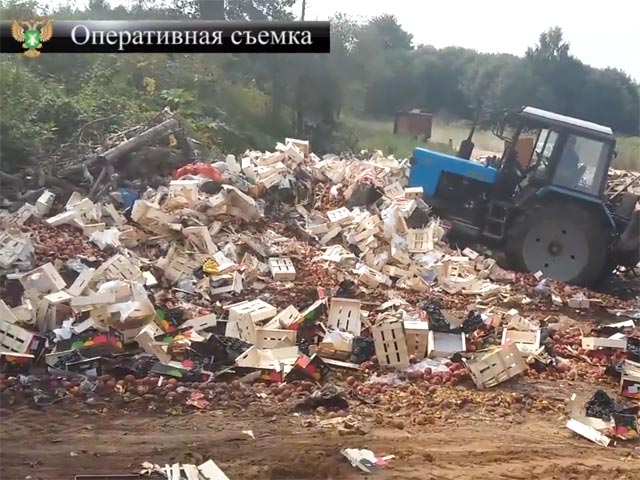 ОЗПП, пожаловавшееся в ВС на указ об уничтожении еды, обратилось к Путину за разъяснениями по правилам "давки гусей"