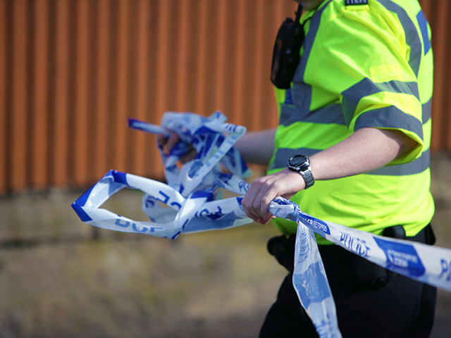 Полиция Великобритании начала расследование по факту сексуального надругательства над пони в шотландском графстве Абердиншир