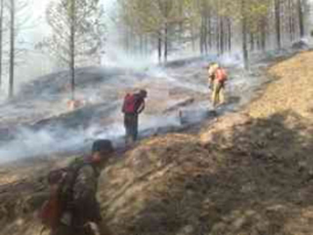Площадь лесных пожаров в Бурятии за сутки выросла более чем на 800 гектаров