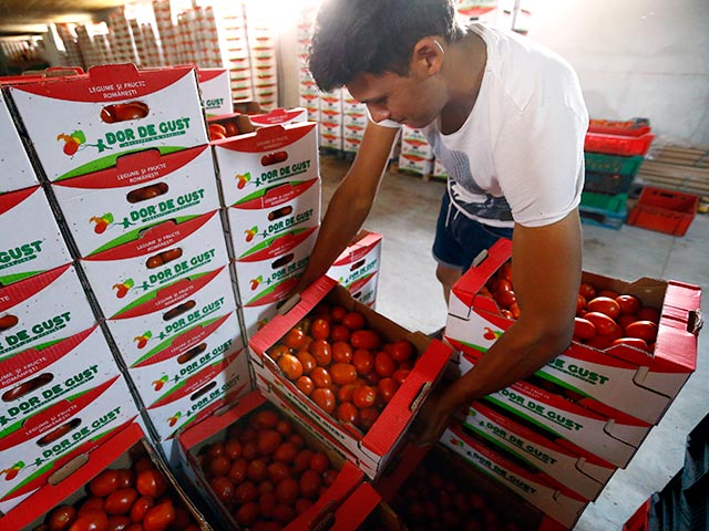 Российское эмбарго на продукты питания из стран Евросоюза, введенное в ответ на санкции Брюсселя, не нанесло серьезного ущерба компаниям в восточноевропейских странах