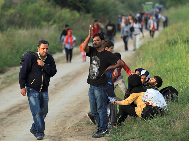 Корреспонденты Reuters сообщаются, что мигранты уже начали пересекать хорватскую границу
