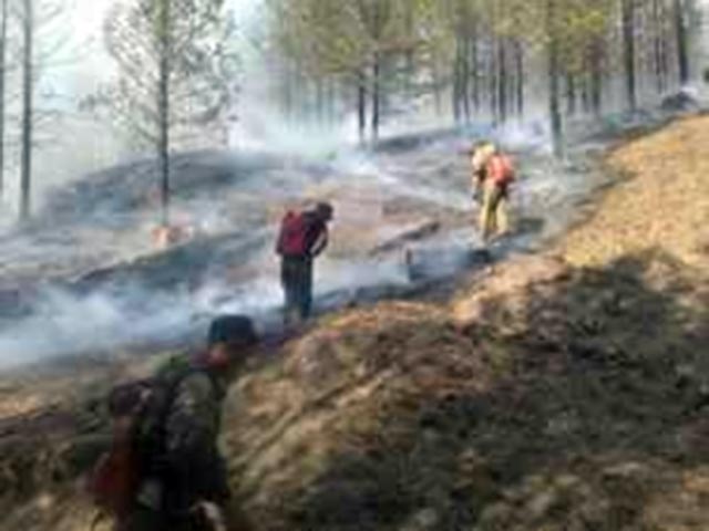 В Бурятии потушены последние лесные пожары в Еравнинском, Тарбагатайском и Баргузинском районах на общей площади около 4,5 тыс. га