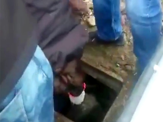В Красноярске трое местных жителей вытащили щенка из канализационного люка, в который он провалился по неосторожности на территории одного из автосервисов