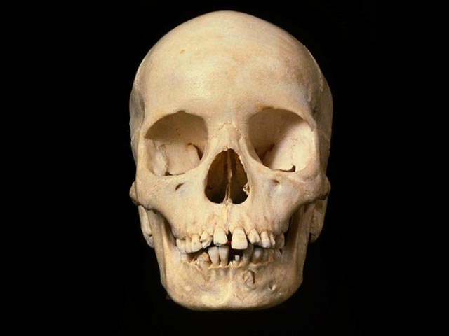 Во Флориде бомж принес человеческий череп в супермаркет и играл с ним, как с марионеткой