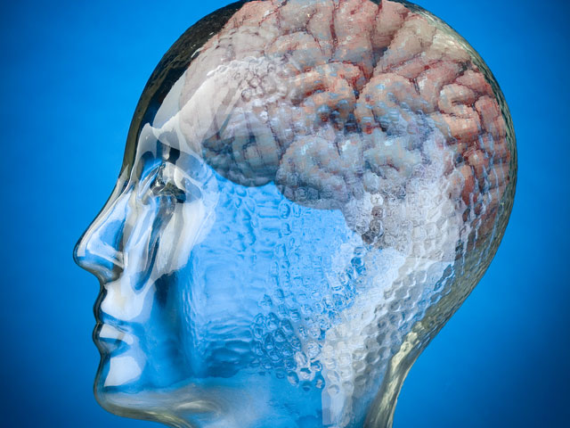 Ученые нашли способ идентифицировать человека по карте сигналов мозга
