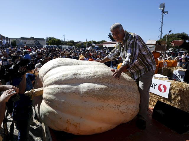 В понедельник, 12 октября, фермер Стив Далетас из штата Орегон выиграл ежегодное соревнование в округе Сан-Франциско и получил 12 тысяч долларов за выращенную им тыкву весом 893 кг.
