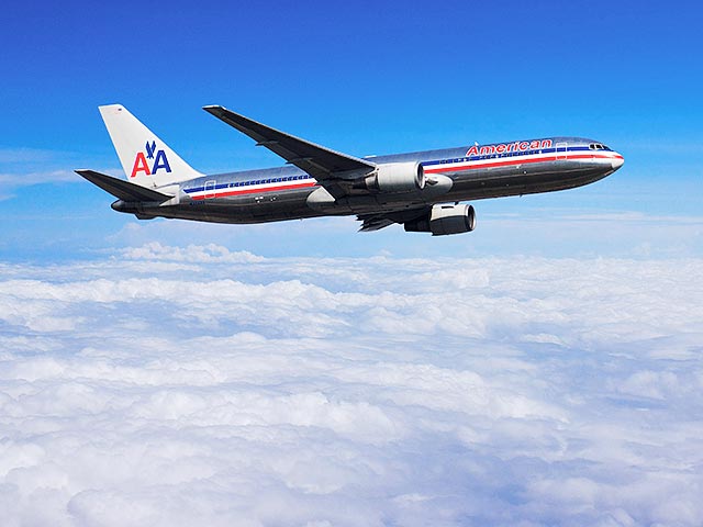 Boeing 767 прилетел рейсом из Лас-Вегаса и далее должен был отправиться во Франкфурт. При разгрузке багажа персонал обнаружил рой пчел под одним из крыльев, поле чего разгрузка была немедленно приостановлена