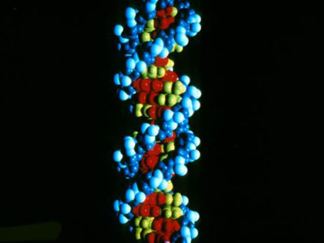 Ученым впервые удалось "прооперировать" трехмерный человеческий геном - отредактировать упаковку ДНК