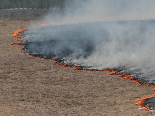 Премьер Дмитрий Медведев подписал постановление о внесении изменений в Правила противопожарного режима в РФ, запретив сжигать сухую траву в определенных местах