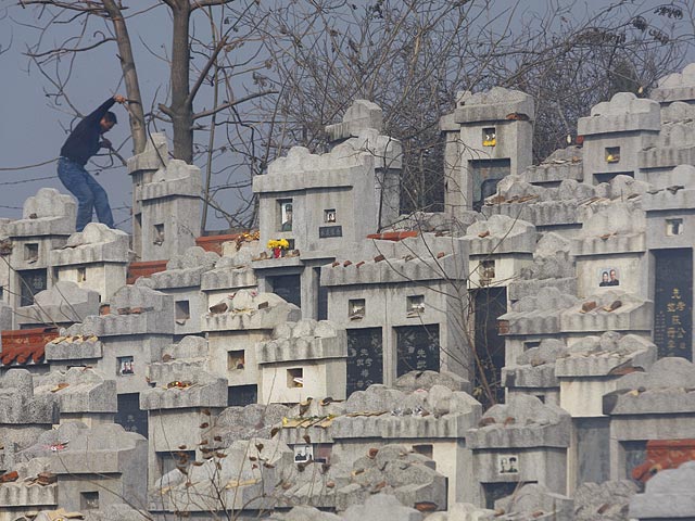 В Китае банда вымогателей похищает на кладбище урны с прахом, оставляя вместо них номер телефона