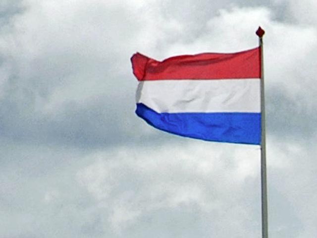Во франции перепутали флаг. Голландский флаг вместо российского. Перепутали флаг России Голландии. Ошиблась флаг Нидерландов. Флаг напутала.