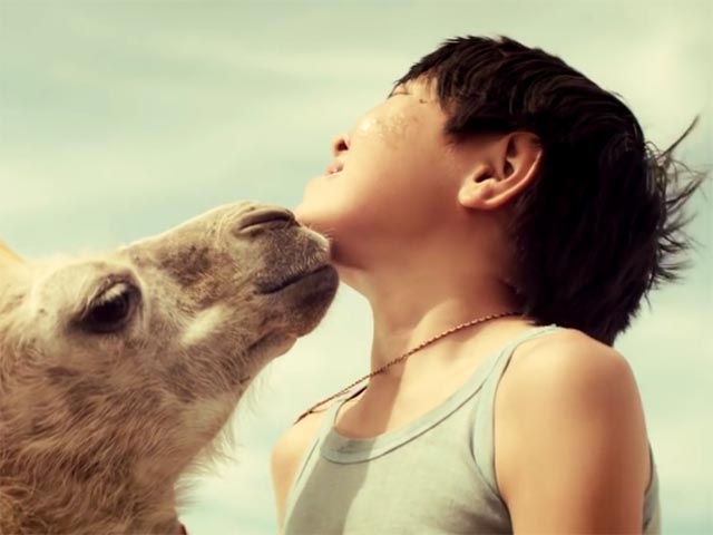 Российский "Небесный верблюд" победил на детском кинофестивале в Индии