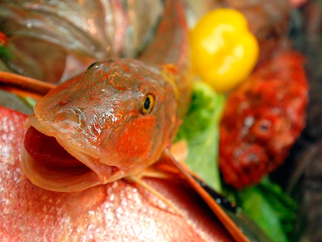 Россия запретила транзит рыбной продукции через Литву