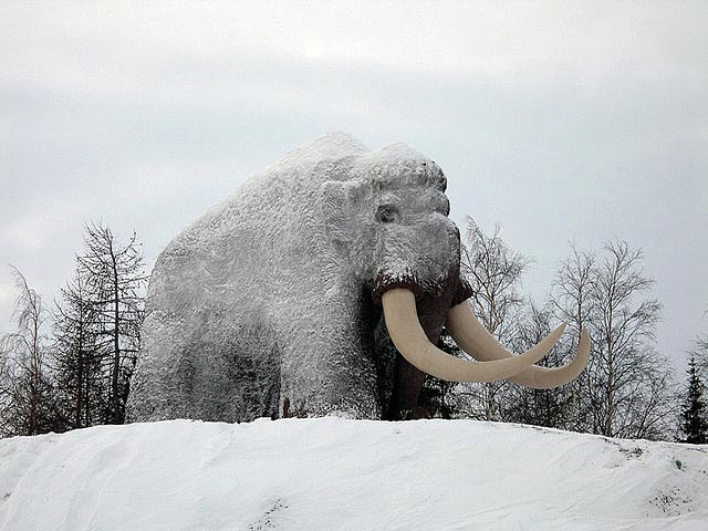 В Салехарде власти города решили к Новому году нарядить самый масштабный памятник города - 10-метровую скульптуру мамонта