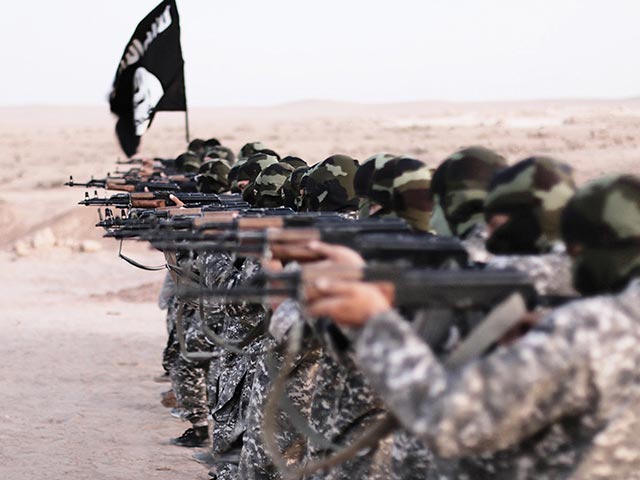Запрещенная в РФ террористическая группировка "Исламское государство" (ДАИШ) платит своим бойцам примерно 600 миллионов долларов в год, что составляет, примерно, две трети ее дохода
