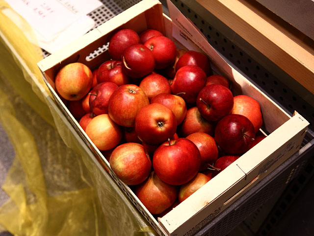 Россельхознадзор со среды 23 декабря ужесточает правила ввоза в Россию шампиньонов и яблок из Белоруссии