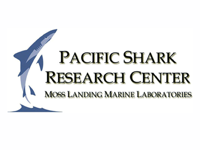 Американским ученым-океанологамиз исследовательского центра Pacific Shark Research Center у побережья Центральной Америки удалось открыть новый вид акул