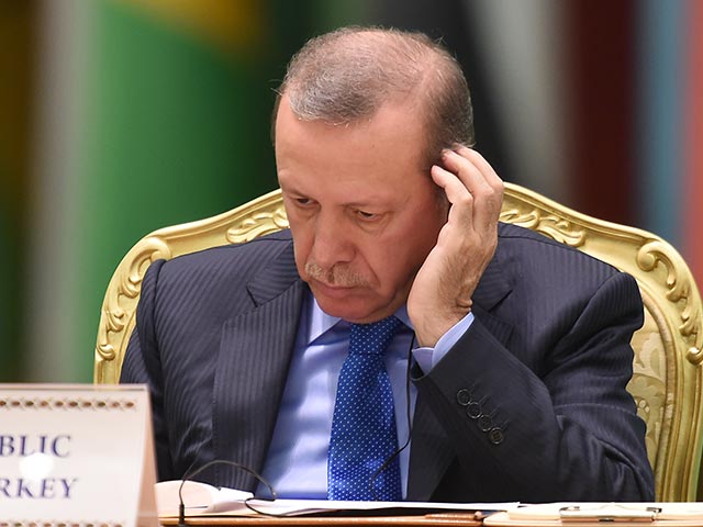 В администрации турецкого президента заявили, что слова Эрдогана о Гитлере неправильно поняли