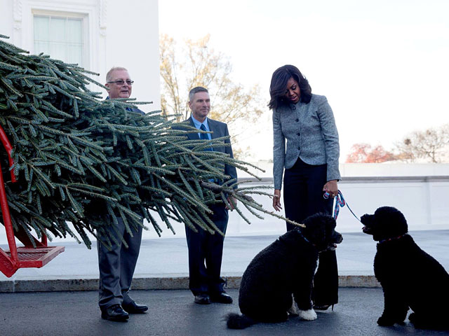В Вашингтоне арестован человек, которого подозревают в попытке похитить одну из собак президента Барака Обамы