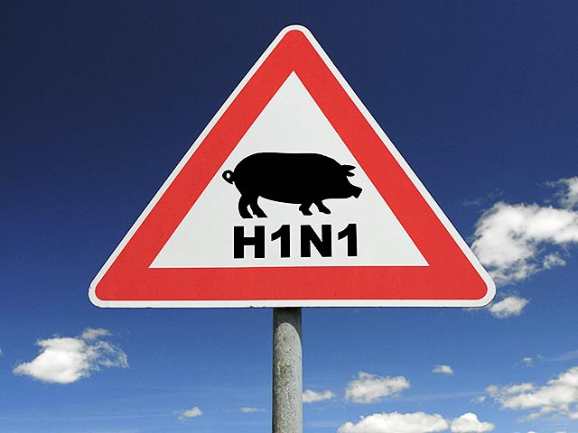 Из 25 граждан Украины, умерших от гриппа с начала сезона нынешнего заболеваемости, 22 стали жертвами вируса так называемого свиного гриппа (А/H1N1)