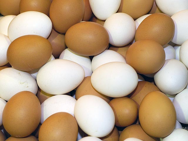 Директор птицефабрики в Челябинской области напечатал объявление о продаже машины на яйцах