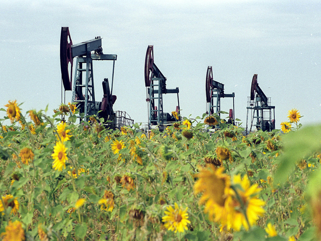 Вице-премьер РФ Аркадий Дворкович не исключил падения добычи нефти в РФ при сохранении низких цен на мировом рынке на это сырье