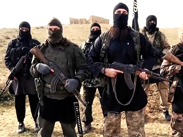 Министерство обороны Украины опровергло сообщения СМИ о планах Киева присоединиться к борьбе против запрещенной в РФ террористической группировки "Исламское государство" (ДАИШ) в Сирии
