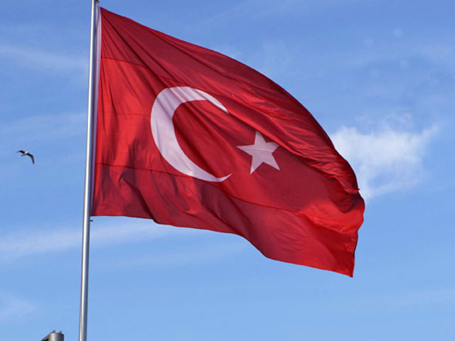 МИД Турции вызвал посла США после заявлений Госдепа о сирийских курдах