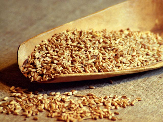 В Российском зерновом союзе рассказали о случаях использования фуражной пшеницы, которую выращивают на кром скоту, при выпечке хлеба