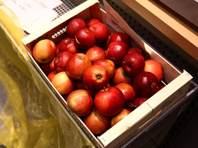 Журналисты узнали, как польские яблоки становятся молдавскими, чтобы попасть в Россию 