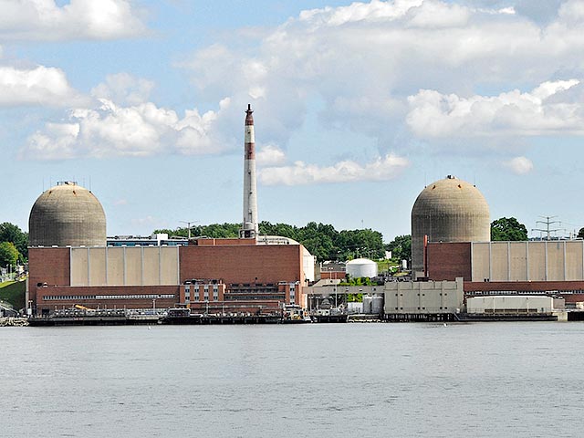 Эксперты выяснили, что наиболее вероятной причиной отключения реактора АЭС Indian Point в штате Нью-Йорк в декабре прошлого года стал птичий помет