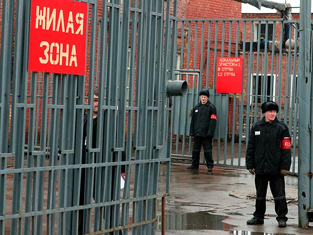 Россия стала европейским лидером по числу заключенных и по количеству смертей в колониях
