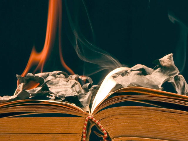 В Краснодаре активисты вместо чучела Масленицы сожгли книги Генри Миллера