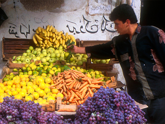 Сирия начала организованные поставки овощей и фруктов в Россию