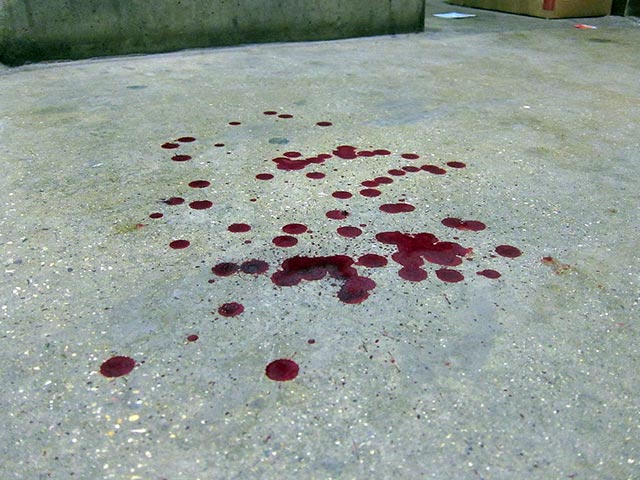 Судя по кровавым следам, в подъезде произошла драка, в ходе которой получил ранения и убийца