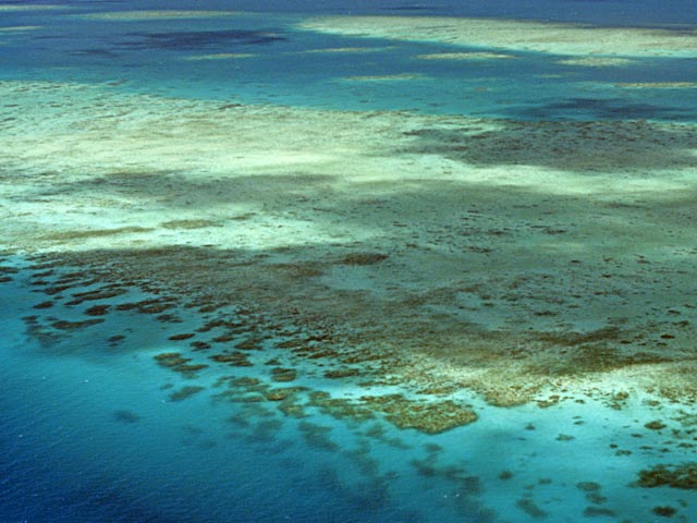 В Австралии ученые бьют тревогу относительно будущего Большого Барьерного рифа, уникального природного объекта, внесенного в Список всемирного наследия ЮНЕСКО