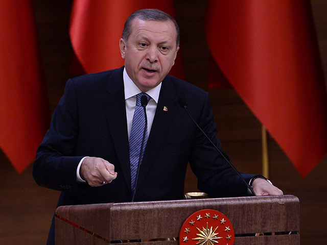 Посла Германии в Турции вызвали в МИД из-за сатирического ролика об Эрдогане