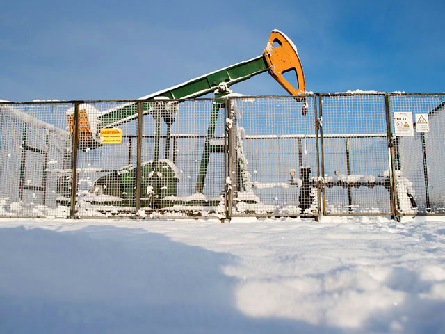 Министерство энергетики Катара объявило, что участие во встрече 17 апреля в Дохе, посвященной возможности заморозки добычи, подтвердили 12 государств - производителей нефти