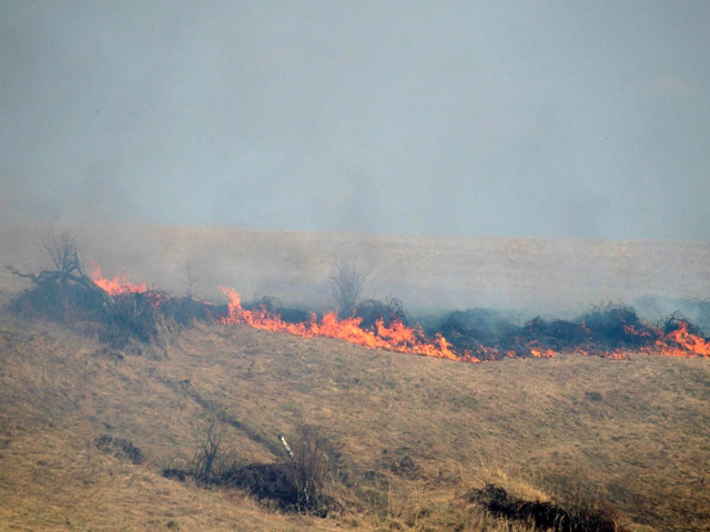 МЧС рапортовало о зарождающихся в Подмосковье природных пожарах