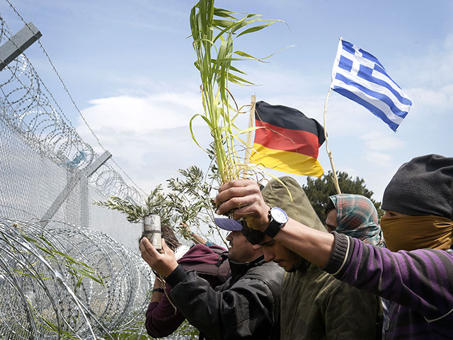 Полиция Македонии в очередной раз применила слезоточивый газ против группы мигрантов на греко-македонской границе рядом с Идомени