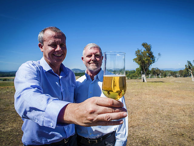Благодаря австралийским исследователям и производителям в Германии начали варить первое в мире безглютеновое ячменное пиво