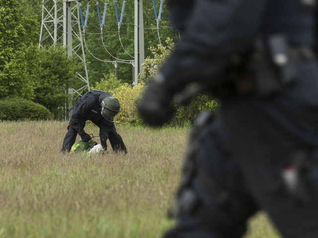 Полиция нашла свинью головы возле приемной Ангелы Меркель