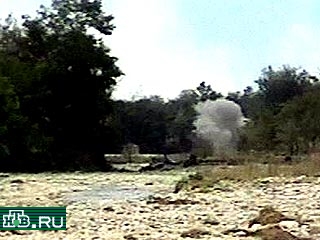 В одном из леспромхозов Ингушетии взорвался артиллерийский снаряд. К счастью, никто не пострадал