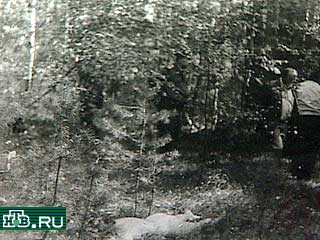 В лесу неподалеку от алтайского села Бураново найдено тело одной из пяти девушек, пропавших без вести около трех месяцев назад.