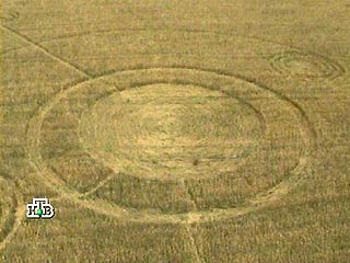 На пшеничном поле близ Майкопа "наследили" инопланетяне