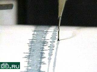 В Пакистане произошло землетрясение силой 5,2 балла по шкале Рихтера