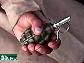 Ранее судимый житель Биробиджана Еврейской автономии добровольно сдал три гранаты Ф-1 и указал на человека, занимавшегося их сбытом